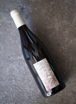 「AZUCCA E AZUCCO (アズッカ・エ・アズッコ）『Last Summer Vacation』（最後の夏休み）赤  2024」【SOLD OUT】