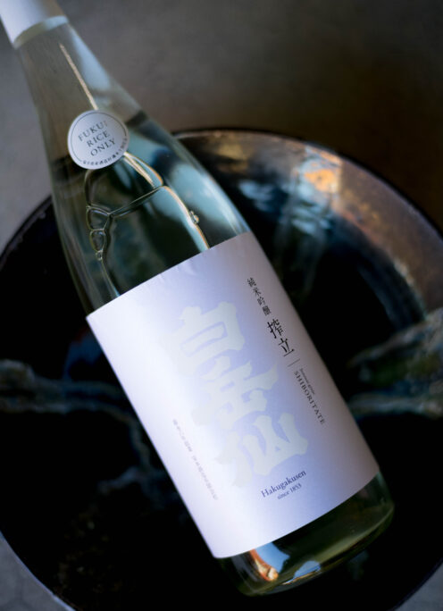 フレッシュ感満載  冬の最高の食材を引き立てるシボリタテ 「白岳仙  HAKUGAKUSEN  純米吟醸  ＜搾立  SHIBORITATE＞ R7BY」入荷