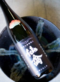 瑞々しい溢れんばかりのフレッシュさ  「仙禽　SENKIN ＜初槽  あらばしり ARABASHIRI＞【江戸返りバージョン】  無濾過生原酒  R7BY」