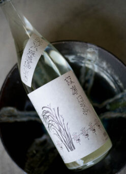 伊勢錦の個性を爽やかに軽快に味わえる ＜うすにごり＞ 「篠峯  SHINOMINE  純米  伊勢錦  ISENISHIKI  うすにごり無濾過生原酒  稲穂ラベル R7BY」