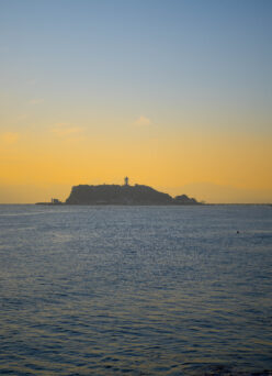 22日(日)23日(祝)お休みとなります