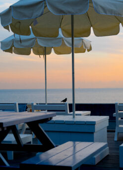 2月1日（日）お休みとなります