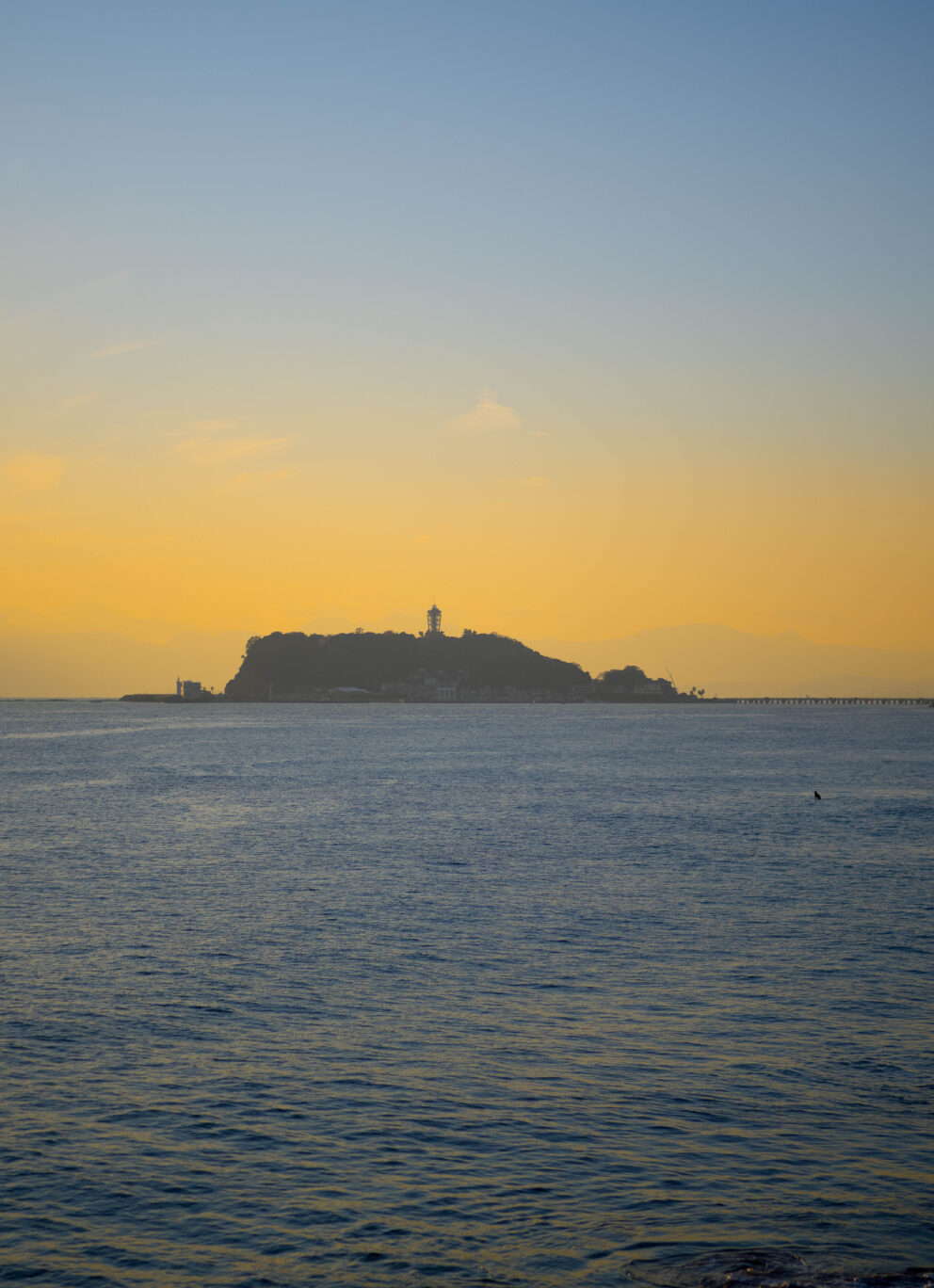 22日（日）23日（祝）お休みとなります