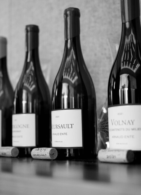 DOMIAINE ARNAUD ENTE（ドメーヌ  アルノー・アント）MASTER CLASS SEMINOR（マスター・クラス  セミナー）In  CANOPY BY HILTON OOSAKA UMEDA（キャノピー バイ ヒルトン 大阪梅田）