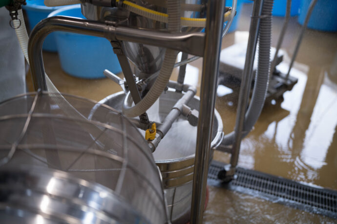 早川酒造 はやかわしゅぞう ハヤカワシュゾウ HAYAKAWASHUZO 三重県三重郡菰野町大字小島468
(株)富屋酒店 かぶしきがいしゃ とみやさけてん カブシキガイシャ トミヤサケテン TOMIYA SAKETEN 愛知県名古屋市瑞穂区上坂町1-41-2 地酒屋 豊盃 HOUHAI ほうはい ホーハイ 三浦酒造 MIURASHUZO日高見 ひたかみ ヒタカミ HITAKAMI 平孝酒造 HIRAKOSHUZO 天の戸 アマノト あまのと AMANOTO 浅舞酒造ASAMAISHUZO 飛露喜 HIROKISHUZOHONTEN 廣木酒造本店 HIROK 大那 DAINA ダイナ だいな 菊の里酒造 KIKUNOSATOSHUZO 旭興 KYOKUKO きょくこう キョクコウ 渡邉酒造 WATANABESHUZO 仙禽 SENKIN せんきん センキン(株)せんきん SENKIN鶴齢 カクレイ かくれい KAKUREI 青木酒造 AOKISHUZO謙信 ケンシン けんしん KENSHIN池田屋酒造 IKEDAYASHUZO 白岳仙 HAKUGAKUSEN ハクガクセン はくがくせん 安本酒造 YASUMOTOSHUZO 群馬泉 グンマイズミ ぐんまいずみ 島岡酒造 SHIMAOKASHUZO 喜久醉 きくよい キクヨイKIKUYOI 青島酒造 AOSHIMASHUZO 長珍 ちょうちん チョウチン長珍酒造CHOCHINSHUZO みねたからみりん 峯寳 味醂 一子相伝 ミネタカラ いっしそうでん イッシソウデン 小笠原味醂 OGASAWARA MIRIN
瀧自慢 たきじまん タキジマン 瀧自慢酒造 TAKIZIMANSHUZO 田光 TABIKA 早川酒造 HAYAKAWASHUZO 作 ZAKU ざく ザク 清水清三郎商店 SHIMIZUSEIZABUROSHOTEN 篠峯 櫛羅 しのみね シノミネ くじら クジラ 千代酒造 CHIYOSHUZO 雑賀 さいか サイカ 九重雑賀 KOKONOESAIKA 紀土 鶴梅 無量山 きっど キッド KID ツルウメ つるうめ TURUUME ムリョウザン むりょうざん MURYOZAN 平和酒造 HEIWASHUZO 蒼空 そうくう ソウクウ SÔKÛ 藤岡酒造 HUJIOKASHUZO 宝剣 HOUKEN 宝剣酒造 ほうけんしゅぞう ホウケンシュゾウ HOKENSHUZO 清酒竹鶴 小笹屋竹鶴 せいしゅたけつる セイシュタケツル おささやたけつる オササヤタケツル 竹鶴酒造 TAKETURUSHUZO
石鎚 いしづち イシヅチ 石鎚酒造 ISHIDUCHISHUZO 土佐しらぎく とさしらぎく トサシラギク 仙頭酒造場 せんとうしゅぞうじょう SENDOSHUZOZYO
ブルゴーニュワイン BOURGOGNE ボルドーワイン BORDEAUXカリフォルニアワイン CALIFORNIA シャンパーニュ SHAMPAGNEアルザスワイン ALSACE ドイツワイン WEIN GERMAN WINE 専門店 ライカM11 ズミルックス50 レンズ 代表 上田豊二 きき酒師 焼酎アドバイザー シャンパーニュシュヴァリエ 堀田駅より徒歩10分 熱田神宮駅より徒歩10分
市バス 牛巻より徒歩3分 地下鉄堀田駅より徒歩15分 名古屋高速堀田出口より車で2分 牛巻交差点より徒歩5分 レトロ街並み 瓦屋根 裏道 大通りより二本入る CLASSIC CARクラッシックカー CLASSIC BIKE クラッシックバイク INTERIA インテリア FASHION ファッション MUSIC 音楽 LOVE SAKE SHOP 酒屋
センス クリエイト おたく MANIAマニア MOVIE 映画 CINEMA シネマ 2024年春オープン予定 いいねタウン瑞穂 iiNE マルシェ内 グランクレア瑞穂 いいねタウン瑞穂 愛知県名古屋市瑞穂区宝田町四丁目2番、3番2 春敲町三丁目23番1(地番) 魚太郎 UOTARO MIZUHO うおたろう ウオタロウ なごやみずほてん ナゴヤミズホテン 名古屋瑞穂店 車で1分 徒歩5分 丸明 瑞穂店 MARUAKI MIZUHO マルアキ ミズホテン まるあき みずほてん 徒歩10分 車3分 焼肉 美奈登 ヤキニクミナト やきにくみなと YAKINIKU MINATO 車で2分 徒歩10分 どての品川 DOTENO SHINAGAWA ドテノシナガワ どてのしながわ 車で30秒 徒歩1分昇福亭 SHOHUKUTEI しょうふくてい ショウフクテイ 街中華 マニア 大盛り 個性派 車で5分 徒歩15分 名店 近くにたくさんあり 堀田バンザイ 牛巻バンザイ 名古屋のへそ