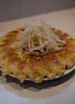 HAMAMATSU GYOZA