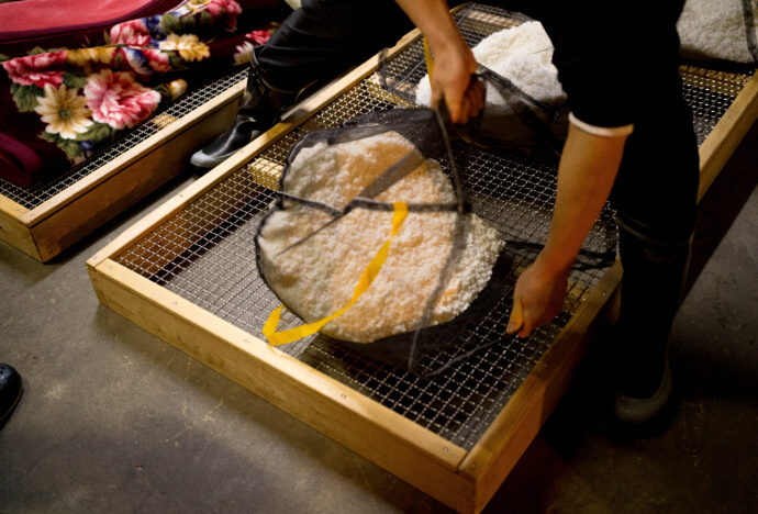 HIROKO WATANABE×CHOCHIN×TOMIYASAKETEN 「渡部 裕子(わたなべ ひろこ)」×「長珍(ちょうちん)」×「富屋酒店 名古屋 (とみやさけてん なごや)」 <PETIT PRESENT MARKET> in< ESCA> (プチ プレゼント マーケット) in (エスカ) 2023 12・29~2024 1.8 開催のお知らせ
2023年12月29日~2024年1月8日の期間
(1月1日は定休日 各日10:00~20:00開催)
名古屋駅太閤通り口地下街「エスカ センター ・光の広場」において
「プチ プレゼント マーケット」開催において「渡部 裕子」×「富屋酒店」と題し
渡部 裕子 ワタナベ ヒロコ 書家 書道家 hiroko wartanabe official web site 名古屋市在住 アーティスト ライブパフォーマンス 金シャチ横丁 文字 立体書インスタレーション ミッドランドスクエア周年ロゴ ヤマサちくわ 商品ロゴ ホテルウイングインターナショナル 京都四条烏丸 The TOWER Ryotel NAGOYA
客室内作品 舞台衣装美術 ライブパフォーマンス
当店の看板的存在 そして愛知の純米酒の代表のひとつといえる存在
愛知 津島の長珍酒造さん「純米酒シリーズ」と
愛知を代表する梅酒のひとつ白老酒造さんの「白老梅」をカップに特別に詰めていただき
渡部さんが直に書くオリジナルラベルの作品を日本で唯一
期間限定の限定数量販売ブースを出展させていただきます
さらに 1月7日と1月8日の二日間限定にて<書道家 渡邊 裕子さんによる「長珍ラベル 直書き企画」>を実施
渡部さんの力強く凛とした空気感の中に楽しさ漲るライブの瞬間を味わいながら その作品を手に入れることが出来る超絶贅沢な企画です
(10:00~16:00 開催)
さらに当日二日間は特別に蔵元より直送した「斗瓶取り(通常では飲めない鑑評会出品酒を詰める伝統の18Lの瓶)」の作品を当社 社長よりの「量り売り販売」を実施
その場で味わえるスペシャル企画も行います
(限定数量ですので完売の際はご了承ください)
年末年始を最高に盛り上げるSpecial Special Special 企画
是非 <エスカ>にお越しくださいませ
エスカ地下街 名古屋駅新幹線口 愛知県名古屋市中村区椿町6-9先 人気店多数 名古屋めし 観光
長珍 CHOCHIN しんぶんし 山廃純米 YAMAHAI 【7-70】無濾過生原酒 2023
長珍酒造 ちょうちんしゅぞう チョウチンシュゾウ チョーチン CHYOCHIN
BRUWERY 代表取締役兼杜氏 桑山雅行 クワヤママサユキ くわやままさゆき
KUWAYAMA MASAYUKI 桑山会 KUWAYAMAKAI クワヤマカイ くわやまかい しんぶんし 備前雄町 阿波山田 レッド 純米 純米吟醸 R2BY R4BY 熟成 お燗 ワイングラス かたくち 片口 マリアージュ 温度変化
立体的 日本酒の可能性 ステキ 唯一無二 絶対的信頼関係 名古屋特約店
(株)富屋酒店 愛知県名古屋市瑞穂区上坂町1-41-2 地酒屋 専門店 ライカM11 ズミルックス50 レンズ 代表 上田豊二 きき酒師 焼酎アドバイザー
シャンパーニュシュヴァリエ 堀田駅 熱田神宮駅
名古屋高速 堀田出口すぐ 牛巻交差点すぐ レトロ街並み 瓦屋根
クラッシックカー クラッシックバイク インテリア ファッション 音楽
センス クリエイト おたく マニア 映画 シネマ 骨格の太さとしなやかでまろやかな味わいが長珍スタイル。「長珍 CHOCHIN 純米吟醸 <ひやおろし HIYAOROSHI> 2023」
山田錦の豊かなボリュームとキレ感のバランスが唯一無二。「長珍 CHOCHIN 純米吟醸 <ひやおろし原酒 HIYAOROSHI> 2023」桑山流純米の味わい 温度変化の立体感を存分に楽しむ「長珍 CHOCHIN <純米生詰60 富山五百万石 TOYAMA GOHYAKUMANGOKU> 2023」八反錦のポテンシャルを存分に引き出した名作 「長珍 CHOCHIN しんぶんし 純米吟醸【50】 <八反錦 HATTANNISHIKI> 無濾過生原酒 2023」
(株)富屋酒店 かぶしきがいしゃ とみやさけてん カブシキガイシャ トミヤサケテン TOMIYA SAKETEN 愛知県名古屋市瑞穂区上坂町1-41-2 地酒屋 豊盃 HOUHAI ほうはい ホーハイ 三浦酒造 MIURASHUZO日高見 ひたかみ ヒタカミ HITAKAMI 平孝酒造 HIRAKOSHUZO 天の戸 アマノト あまのと AMANOTO 浅舞酒造 ASAMAISHUZO 飛露喜 HIROKISHUZOHONTEN 廣木酒造本店 HIROK 大那 DAINA ダイナ だいな 菊の里酒造 KIKUNOSATOSHUZO 旭興 KYOKUKO きょくこう キョクコウ 渡邉酒造 WATANABESHUZO 仙禽 SENKIN せんきん センキン(株)せんきん SENKIN鶴齢 カクレイ かくれい KAKUREI 青木酒造 AOKISHUZO謙信 ケンシン けんしん KENSHIN池田屋酒造 IKEDAYASHUZO 白岳仙 HAKUGAKUSEN ハクガクセン はくがくせん 安本酒造 YASUMOTOSHUZO 群馬泉 グンマイズミ ぐんまいずみ 島岡酒造 SHIMAOKASHUZO 喜久醉 きくよい キクヨイKIKUYOI 青島酒造 AOSHIMASHUZO 長珍 ちょうちん チョウチン長珍酒造CHOCHINSHUZO みねたからみりん 峯寳 味醂 一子相伝 ミネタカラ いっしそうでん イッシソウデン 小笠原味醂 OGASAWARA MIRIN
瀧自慢 たきじまん タキジマン 瀧自慢酒造 TAKIZIMANSHUZO 田光 TABIKA 早川酒造 HAYAKAWASHUZO 作 ZAKU ざく ザク 清水清三郎商店 SHIMIZUSEIZABUROSHOTEN 篠峯 櫛羅 しのみね シノミネ くじら クジラ 千代酒造 CHIYOSHUZO 雑賀 さいか サイカ 九重雑賀 KOKONOESAIKA 紀土 鶴梅 無量山 きっど キッド KID ツルウメ つるうめ TURUUME ムリョウザン むりょうざん MURYOZAN 平和酒造 HEIWASHUZO 蒼空 そうくう ソウクウ SÔKÛ 藤岡酒造 HUJIOKASHUZO 宝剣 HOUKEN 宝剣酒造 ほうけんしゅぞう ホウケンシュゾウ HOKENSHUZO 清酒竹鶴 小笹屋竹鶴 せいしゅたけつる セイシュタケツル おささやたけつる オササヤタケツル 竹鶴酒造 TAKETURUSHUZO
石鎚 いしづち イシヅチ 石鎚酒造 ISHIDUCHISHUZO 土佐しらぎく とさしらぎく トサシラギク 仙頭酒造場 せんとうしゅぞうじょう SENDOSHUZOZYOしんぶんしシリーズ今季最後の集大成 この感動の味わいを皆様に 「長珍 CHOCHIN しんぶんし 純米吟醸 <生生熟成5055 RAW RIPENING> 無濾過生酒 2023」
ブルゴーニュワイン BOURGOGNE ボルドーワイン BORDEAUXカリフォルニアワイン CALIFORNIA シャンパーニュ SHAMPAGNEアルザスワイン ALSACE ドイツワイン WEIN GERMAN WINE 専門店 ライカM11 ズミルックス50 レンズ 代表 上田豊二 きき酒師 焼酎アドバイザー シャンパーニュシュヴァリエ 堀田駅より徒歩10分 熱田神宮駅より徒歩10分
市バス 牛巻より徒歩3分 地下鉄堀田駅より徒歩15分 名古屋高速堀田出口より車で2分 牛巻交差点より徒歩5分 レトロ街並み 瓦屋根 裏道 大通りより二本入る CLASSIC CARクラッシックカー CLASSIC BIKE クラッシックバイク INTERIA インテリア FASHION ファッション MUSIC 音楽 LOVE SAKE SHOP 酒屋
センス クリエイト おたく MANIAマニア MOVIE 映画 CINEMA シネマ 2024年春オープン予定 いいねタウン瑞穂 iiNE マルシェ内 グランクレア瑞穂 いいねタウン瑞穂 愛知県名古屋市瑞穂区宝田町四丁目2番、3番2 春敲町三丁目23番1(地番) 魚太郎 UOTARO MIZUHO うおたろう ウオタロウ なごやみずほてん ナゴヤミズホテン 名古屋瑞穂店 車で1分 徒歩5分 丸明 瑞穂店 MARUAKI MIZUHO マルアキ ミズホテン まるあき みずほてん 徒歩10分 車3分 焼肉 美奈登 ヤキニクミナト やきにくみなと YAKINIKU MINATO 車で2分 徒歩10分 どての品川 DOTENO SHINAGAWA ドテノシナガワ どてのしながわ 車で30秒 徒歩1分昇福亭 SHOHUKUTEI しょうふくてい ショウフクテイ 街中華 マニア 大盛り 個性派 車で5分 徒歩15分 名店 近くにたくさんあり 堀田バンザイ 牛巻バンザイ 名古屋のへそ
お米を炊いたように味わいを表現した愛知の純米酒の名作 「長珍 CHOCHIN 純米 <阿波山田65 AWAYAMADA> 無濾過生詰 2023」しんぶんしシリーズ今季最後の集大成 この感動の味わいを皆様に 「長珍 CHOCHIN しんぶんし 純米吟醸 <生生熟成5055 RAW RIPENING> 無濾過生酒 2023」フレッシュさの中に漲る力強く品格溢れる生命力を その味わいから感じる「長珍 CHOCHIN <純米八反錦 HATTANNISHIKI> ささにごり生酒 R5BY」雄町の力強さと骨格が解けていく様を時間軸で楽しむ 「長珍 CHOCHIN 純米しんぶんし <備前雄町【7-65】 BIZENOMACHI> 無濾過生原酒 R5BY」雄町の力強さと骨格が解けていく様を時間軸で楽しむ 「長珍 CHOCHIN 純米しんぶんし <備前雄町【7-65】 BIZENOMACHI> 無濾過生原酒 R7BY」