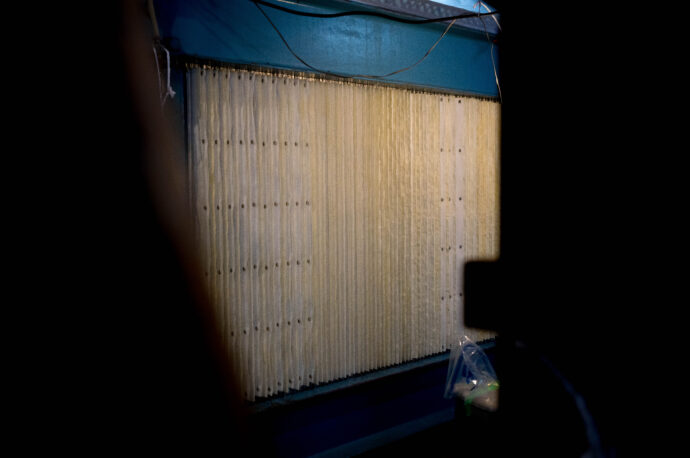 HIROKO WATANABE×CHOCHIN×TOMIYASAKETEN 「渡部 裕子(わたなべ ひろこ)」×「長珍(ちょうちん)」×「富屋酒店 名古屋 (とみやさけてん なごや)」 <PETIT PRESENT MARKET> in< ESCA> (プチ プレゼント マーケット) in (エスカ) 2023 12・29~2024 1.8 開催のお知らせ
2023年12月29日~2024年1月8日の期間
(1月1日は定休日 各日10:00~20:00開催)
名古屋駅太閤通り口地下街「エスカ センター ・光の広場」において
「プチ プレゼント マーケット」開催において「渡部 裕子」×「富屋酒店」と題し
渡部 裕子 ワタナベ ヒロコ 書家 書道家 hiroko wartanabe official web site 名古屋市在住 アーティスト ライブパフォーマンス 金シャチ横丁 文字 立体書インスタレーション ミッドランドスクエア周年ロゴ ヤマサちくわ 商品ロゴ ホテルウイングインターナショナル 京都四条烏丸 The TOWER Ryotel NAGOYA
客室内作品 舞台衣装美術 ライブパフォーマンス
当店の看板的存在 そして愛知の純米酒の代表のひとつといえる存在
愛知 津島の長珍酒造さん「純米酒シリーズ」と
愛知を代表する梅酒のひとつ白老酒造さんの「白老梅」をカップに特別に詰めていただき
渡部さんが直に書くオリジナルラベルの作品を日本で唯一
期間限定の限定数量販売ブースを出展させていただきます
さらに 1月7日と1月8日の二日間限定にて<書道家 渡邊 裕子さんによる「長珍ラベル 直書き企画」>を実施
渡部さんの力強く凛とした空気感の中に楽しさ漲るライブの瞬間を味わいながら その作品を手に入れることが出来る超絶贅沢な企画です
(10:00~16:00 開催)
さらに当日二日間は特別に蔵元より直送した「斗瓶取り(通常では飲めない鑑評会出品酒を詰める伝統の18Lの瓶)」の作品を当社 社長よりの「量り売り販売」を実施
その場で味わえるスペシャル企画も行います
(限定数量ですので完売の際はご了承ください)
年末年始を最高に盛り上げるSpecial Special Special 企画
是非 <エスカ>にお越しくださいませ
エスカ地下街 名古屋駅新幹線口 愛知県名古屋市中村区椿町6-9先 人気店多数 名古屋めし 観光
長珍 CHOCHIN しんぶんし 山廃純米 YAMAHAI 【7-70】無濾過生原酒 2023
長珍酒造 ちょうちんしゅぞう チョウチンシュゾウ チョーチン CHYOCHIN
BRUWERY 代表取締役兼杜氏 桑山雅行 クワヤママサユキ くわやままさゆき
KUWAYAMA MASAYUKI 桑山会 KUWAYAMAKAI クワヤマカイ くわやまかい しんぶんし 備前雄町 阿波山田 レッド 純米 純米吟醸 R2BY R4BY 熟成 お燗 ワイングラス かたくち 片口 マリアージュ 温度変化
立体的 日本酒の可能性 ステキ 唯一無二 絶対的信頼関係 名古屋特約店
(株)富屋酒店 愛知県名古屋市瑞穂区上坂町1-41-2 地酒屋 専門店 ライカM11 ズミルックス50 レンズ 代表 上田豊二 きき酒師 焼酎アドバイザー
シャンパーニュシュヴァリエ 堀田駅 熱田神宮駅
名古屋高速 堀田出口すぐ 牛巻交差点すぐ レトロ街並み 瓦屋根
クラッシックカー クラッシックバイク インテリア ファッション 音楽
センス クリエイト おたく マニア 映画 シネマ 骨格の太さとしなやかでまろやかな味わいが長珍スタイル。「長珍 CHOCHIN 純米吟醸 <ひやおろし HIYAOROSHI> 2023」
山田錦の豊かなボリュームとキレ感のバランスが唯一無二。「長珍 CHOCHIN 純米吟醸 <ひやおろし原酒 HIYAOROSHI> 2023」桑山流純米の味わい 温度変化の立体感を存分に楽しむ「長珍 CHOCHIN <純米生詰60 富山五百万石 TOYAMA GOHYAKUMANGOKU> 2023」八反錦のポテンシャルを存分に引き出した名作 「長珍 CHOCHIN しんぶんし 純米吟醸【50】 <八反錦 HATTANNISHIKI> 無濾過生原酒 2023」
(株)富屋酒店 かぶしきがいしゃ とみやさけてん カブシキガイシャ トミヤサケテン TOMIYA SAKETEN 愛知県名古屋市瑞穂区上坂町1-41-2 地酒屋 豊盃 HOUHAI ほうはい ホーハイ 三浦酒造 MIURASHUZO日高見 ひたかみ ヒタカミ HITAKAMI 平孝酒造 HIRAKOSHUZO 天の戸 アマノト あまのと AMANOTO 浅舞酒造 ASAMAISHUZO 飛露喜 HIROKISHUZOHONTEN 廣木酒造本店 HIROK 大那 DAINA ダイナ だいな 菊の里酒造 KIKUNOSATOSHUZO 旭興 KYOKUKO きょくこう キョクコウ 渡邉酒造 WATANABESHUZO 仙禽 SENKIN せんきん センキン(株)せんきん SENKIN鶴齢 カクレイ かくれい KAKUREI 青木酒造 AOKISHUZO謙信 ケンシン けんしん KENSHIN池田屋酒造 IKEDAYASHUZO 白岳仙 HAKUGAKUSEN ハクガクセン はくがくせん 安本酒造 YASUMOTOSHUZO 群馬泉 グンマイズミ ぐんまいずみ 島岡酒造 SHIMAOKASHUZO 喜久醉 きくよい キクヨイKIKUYOI 青島酒造 AOSHIMASHUZO 長珍 ちょうちん チョウチン長珍酒造CHOCHINSHUZO みねたからみりん 峯寳 味醂 一子相伝 ミネタカラ いっしそうでん イッシソウデン 小笠原味醂 OGASAWARA MIRIN
瀧自慢 たきじまん タキジマン 瀧自慢酒造 TAKIZIMANSHUZO 田光 TABIKA 早川酒造 HAYAKAWASHUZO 作 ZAKU ざく ザク 清水清三郎商店 SHIMIZUSEIZABUROSHOTEN 篠峯 櫛羅 しのみね シノミネ くじら クジラ 千代酒造 CHIYOSHUZO 雑賀 さいか サイカ 九重雑賀 KOKONOESAIKA 紀土 鶴梅 無量山 きっど キッド KID ツルウメ つるうめ TURUUME ムリョウザン むりょうざん MURYOZAN 平和酒造 HEIWASHUZO 蒼空 そうくう ソウクウ SÔKÛ 藤岡酒造 HUJIOKASHUZO 宝剣 HOUKEN 宝剣酒造 ほうけんしゅぞう ホウケンシュゾウ HOKENSHUZO 清酒竹鶴 小笹屋竹鶴 せいしゅたけつる セイシュタケツル おささやたけつる オササヤタケツル 竹鶴酒造 TAKETURUSHUZO
石鎚 いしづち イシヅチ 石鎚酒造 ISHIDUCHISHUZO 土佐しらぎく とさしらぎく トサシラギク 仙頭酒造場 せんとうしゅぞうじょう SENDOSHUZOZYOしんぶんしシリーズ今季最後の集大成 この感動の味わいを皆様に 「長珍 CHOCHIN しんぶんし 純米吟醸 <生生熟成5055 RAW RIPENING> 無濾過生酒 2023」
ブルゴーニュワイン BOURGOGNE ボルドーワイン BORDEAUXカリフォルニアワイン CALIFORNIA シャンパーニュ SHAMPAGNEアルザスワイン ALSACE ドイツワイン WEIN GERMAN WINE 専門店 ライカM11 ズミルックス50 レンズ 代表 上田豊二 きき酒師 焼酎アドバイザー シャンパーニュシュヴァリエ 堀田駅より徒歩10分 熱田神宮駅より徒歩10分
市バス 牛巻より徒歩3分 地下鉄堀田駅より徒歩15分 名古屋高速堀田出口より車で2分 牛巻交差点より徒歩5分 レトロ街並み 瓦屋根 裏道 大通りより二本入る CLASSIC CARクラッシックカー CLASSIC BIKE クラッシックバイク INTERIA インテリア FASHION ファッション MUSIC 音楽 LOVE SAKE SHOP 酒屋
センス クリエイト おたく MANIAマニア MOVIE 映画 CINEMA シネマ 2024年春オープン予定 いいねタウン瑞穂 iiNE マルシェ内 グランクレア瑞穂 いいねタウン瑞穂 愛知県名古屋市瑞穂区宝田町四丁目2番、3番2 春敲町三丁目23番1(地番) 魚太郎 UOTARO MIZUHO うおたろう ウオタロウ なごやみずほてん ナゴヤミズホテン 名古屋瑞穂店 車で1分 徒歩5分 丸明 瑞穂店 MARUAKI MIZUHO マルアキ ミズホテン まるあき みずほてん 徒歩10分 車3分 焼肉 美奈登 ヤキニクミナト やきにくみなと YAKINIKU MINATO 車で2分 徒歩10分 どての品川 DOTENO SHINAGAWA ドテノシナガワ どてのしながわ 車で30秒 徒歩1分昇福亭 SHOHUKUTEI しょうふくてい ショウフクテイ 街中華 マニア 大盛り 個性派 車で5分 徒歩15分 名店 近くにたくさんあり 堀田バンザイ 牛巻バンザイ 名古屋のへそ
お米を炊いたように味わいを表現した愛知の純米酒の名作 「長珍 CHOCHIN 純米 <阿波山田65 AWAYAMADA> 無濾過生詰 2023」しんぶんしシリーズ今季最後の集大成 この感動の味わいを皆様に 「長珍 CHOCHIN しんぶんし 純米吟醸 <生生熟成5055 RAW RIPENING> 無濾過生酒 2023」フレッシュさの中に漲る力強く品格溢れる生命力を その味わいから感じる「長珍 CHOCHIN <純米八反錦 HATTANNISHIKI> ささにごり生酒 R5BY」雄町の力強さと骨格が解けていく様を時間軸で楽しむ 「長珍 CHOCHIN 純米しんぶんし <備前雄町【7-65】 BIZENOMACHI> 無濾過生原酒 R5BY」雄町の力強さと骨格が解けていく様を時間軸で楽しむ 「長珍 CHOCHIN 純米しんぶんし <備前雄町【7-65】 BIZENOMACHI> 無濾過生原酒 R7BY」