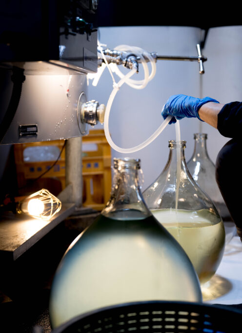 【TOMIYA SPECIALSPECIAL MODEL】 CHOCHIN JUNMAIDAIGINJO40 ＜KING SLIME BOTTLE  2026＞