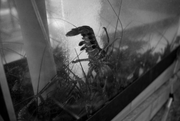 弁天島 山本亭 べんてんじま やまもとてい ベンテンジマ ヤマモトテイ BENTENZIMA YAMAMOTOTEI 静岡県浜松市中央区舞阪町弁天島3212-3  （株）富屋酒店 かぶしきがいしゃ とみやさけてん カブシキガイシャ　トミヤサケテン TOMIYA SAKETEN 　愛知県名古屋市瑞穂区上坂町1-41-2　地酒屋　豊盃　HOUHAI ほうはい　ホーハイ　三浦酒造  MIURASHUZO日高見　ひたかみ　ヒタカミ HITAKAMI  平孝酒造　HIRAKOSHUZO 天の戸 アマノト　あまのと　AMANOTO　浅舞酒造ASAMAISHUZO　飛露喜 HIROKISHUZOHONTEN　廣木酒造本店　HIROK　大那 DAINA　ダイナ　だいな　菊の里酒造　KIKUNOSATOSHUZO　旭興　KYOKUKO　きょくこう　キョクコウ　渡邉酒造　WATANABESHUZO　仙禽 SENKIN　せんきん　センキン（株）せんきん SENKIN鶴齢　カクレイ　かくれい KAKUREI　青木酒造　AOKISHUZO謙信 ケンシン　けんしん KENSHIN池田屋酒造 IKEDAYASHUZO 白岳仙 HAKUGAKUSEN　ハクガクセン　はくがくせん　安本酒造 YASUMOTOSHUZO 群馬泉 グンマイズミ　ぐんまいずみ 島岡酒造 SHIMAOKASHUZO  喜久醉 きくよい キクヨイKIKUYOI 青島酒造 AOSHIMASHUZO 長珍 ちょうちん　チョウチン長珍酒造CHOCHINSHUZO　みねたからみりん　峯寳 味醂　一子相伝 ミネタカラ　いっしそうでん　イッシソウデン　小笠原味醂 OGASAWARA MIRIN

瀧自慢　たきじまん　タキジマン　瀧自慢酒造　TAKIZIMANSHUZO　田光　TABIKA 早川酒造  HAYAKAWASHUZO　作　ZAKU ざく ザク 清水清三郎商店 SHIMIZUSEIZABUROSHOTEN  篠峯　櫛羅　しのみね　シノミネ　くじら　クジラ　千代酒造　CHIYOSHUZO　雑賀　さいか　サイカ　九重雑賀  KOKONOESAIKA　紀土　鶴梅　無量山　きっど　キッド　KID 　ツルウメ　つるうめ　TURUUME　ムリョウザン　むりょうざん　MURYOZAN　平和酒造　HEIWASHUZO　蒼空　そうくう　ソウクウ　SÔKÛ　藤岡酒造　HUJIOKASHUZO 　宝剣　HOUKEN  宝剣酒造　ほうけんしゅぞう　ホウケンシュゾウ　HOKENSHUZO　清酒竹鶴　小笹屋竹鶴　せいしゅたけつる　セイシュタケツル　おささやたけつる　オササヤタケツル　竹鶴酒造　TAKETURUSHUZO
石鎚　いしづち　イシヅチ　石鎚酒造　ISHIDUCHISHUZO　土佐しらぎく　とさしらぎく　トサシラギク　仙頭酒造場　せんとうしゅぞうじょう　SENDOSHUZOZYO
　
 ブルゴーニュワイン　BOURGOGNE  ボルドーワイン　BORDEAUXカリフォルニアワイン CALIFORNIA  シャンパーニュ  SHAMPAGNEアルザスワイン ALSACE ドイツワイン WEIN GERMAN WINE 専門店　ライカM11　ズミルックス50　レンズ　代表　上田豊二　　きき酒師　焼酎アドバイザー　シャンパーニュシュヴァリエ　堀田駅より徒歩10分　熱田神宮駅より徒歩10分
市バス　牛巻より徒歩３分　地下鉄堀田駅より徒歩１５分　名古屋高速堀田出口より車で２分　牛巻交差点より徒歩５分　レトロ街並み　瓦屋根　裏道　大通りより二本入る　CLASSIC CARクラッシックカー CLASSIC BIKE　クラッシックバイク INTERIA　インテリア　　FASHION　ファッション　MUSIC　音楽　LOVE　SAKE SHOP　酒屋
センス　クリエイト　おたく　　MANIAマニア MOVIE　映画　CINEMA シネマ　2024年春オープン予定 いいねタウン瑞穂 iiNE マルシェ内　グランクレア瑞穂 いいねタウン瑞穂  愛知県名古屋市瑞穂区宝田町四丁目2番、3番2　春敲町三丁目23番1（地番） 魚太郎　UOTARO MIZUHO うおたろう　ウオタロウ　なごやみずほてん　ナゴヤミズホテン　 名古屋瑞穂店  車で1分　徒歩5分　丸明 瑞穂店  MARUAKI MIZUHO　マルアキ ミズホテン　まるあき みずほてん　 徒歩10分　車3分　焼肉 美奈登  ヤキニクミナト　やきにくみなと YAKINIKU MINATO 車で2分　徒歩10分  どての品川　DOTENO SHINAGAWA　ドテノシナガワ　どてのしながわ　車で30秒　徒歩1分昇福亭　SHOHUKUTEI しょうふくてい　ショウフクテイ 街中華　マニア　大盛り　個性派  車で5分　徒歩15分  名店 近くにたくさんあり　堀田バンザイ　牛巻バンザイ　名古屋のへそ

