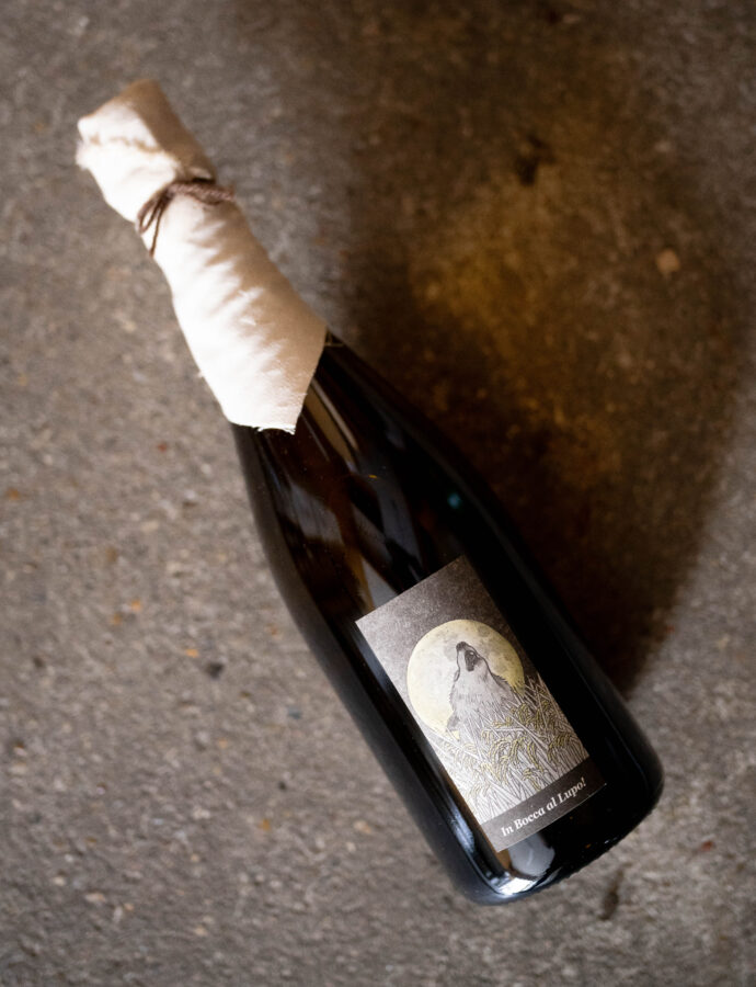 アズッカ・エ・アズッコ あずっか・え・あずっこ 愛知唯一のワイナリー
イタリア・トスカーナで修行 イタリアワイン発想がベース 元は牧場 AZUCCA E AZUCCO 愛知県豊田市勘八町 丘陵地 :森 170ⅿ 多方向斜面 猿投山麓~乙部
岡の上ワイナリー 愛知県豊田市太平町七曲12-691 アズッカ エ アズッコ‘秋のワインたち’ 須崎大介 アズッカ エ アズッコが一本一本『作品の意識』で造っておりますワインを大切にお届けいたしますので どうぞお楽しみにお待ちいただけましたら
名古屋特約店 取り扱い店 MEI メイ めい 愛知県名古屋市西区那古野1-23-2 四間道糸重3 食べログ名店2023 国際センター
(株)富屋酒店 かぶしきがいしゃ とみやさけてん カブシキガイシャ トミヤサケテン TOMIYA SAKETEN 愛知県名古屋市瑞穂区上坂町1-41-2 地酒屋 豊盃 HOUHAI ほうはい ホーハイ 三浦酒造 MIURASHUZO日高見 ひたかみ ヒタカミ HITAKAMI 平孝酒造 HIRAKOSHUZO 天の戸 アマノト あまのと AMANOTO 浅舞酒造 ASAMAISHUZO 飛露喜 HIROKISHUZOHONTEN 廣木酒造本店 HIROK 大那 DAINA ダイナ だいな 菊の里酒造 KIKUNOSATOSHUZO 旭興 KYOKUKO きょくこう キョクコウ 渡邉酒造 WATANABESHUZO 仙禽 SENKIN せんきん センキン(株)せんきん SENKIN鶴齢 カクレイ かくれい KAKUREI 青木酒造 AOKISHUZO謙信 ケンシン けんしん KENSHIN池田屋酒造 IKEDAYASHUZO 白岳仙 HAKUGAKUSEN ハクガクセン はくがくせん 安本酒造 YASUMOTOSHUZO 群馬泉 グンマイズミ ぐんまいずみ 島岡酒造 SHIMAOKASHUZO 喜久醉 きくよい キクヨイKIKUYOI 青島酒造 AOSHIMASHUZO 長珍 ちょうちん チョウチン長珍酒造CHOCHINSHUZO みねたからみりん 峯寳 味醂 一子相伝 ミネタカラ いっしそうでん イッシソウデン 小笠原味醂 OGASAWARA MIRIN
瀧自慢 たきじまん タキジマン 瀧自慢酒造 TAKIZIMANSHUZO 田光 TABIKA 早川酒造 HAYAKAWASHUZO 作 ZAKU ざく ザク 清水清三郎商店 SHIMIZUSEIZABUROSHOTEN 篠峯 櫛羅 しのみね シノミネ くじら クジラ 千代酒造 CHIYOSHUZO 雑賀 さいか サイカ 九重雑賀 KOKONOESAIKA 紀土 鶴梅 無量山 きっど キッド KID ツルウメ つるうめ TURUUME ムリョウザン むりょうざん MURYOZAN 平和酒造 HEIWASHUZO 蒼空 そうくう ソウクウ SÔKÛ 藤岡酒造 HUJIOKASHUZO 宝剣 HOUKEN 宝剣酒造 ほうけんしゅぞう ホウケンシュゾウ HOKENSHUZO 清酒竹鶴 小笹屋竹鶴 せいしゅたけつる セイシュタケツル おささやたけつる オササヤタケツル 竹鶴酒造 TAKETURUSHUZO
石鎚 いしづち イシヅチ 石鎚酒造 ISHIDUCHISHUZO 土佐しらぎく とさしらぎく トサシラギク 仙頭酒造場 せんとうしゅぞうじょう SENDOSHUZOZYO アルガブランカ ARUGABURANKA勝沼醸造 KATUNUMAJÔZÔ ドメーヌソガ ソガ・ペール・エ・フィス SOGA PELE ET FIS オブセワイナリー OBUSEWINERY ドメーヌタカヒコ DOMAINE TAKAHIKO クリサワブラン KURISAWA BLANC ナカザワワイナリー NAKAZAWA WINERY さつま寿 SATUMA KOTOBUKI 尾込商店 OGOME SHOTEN 蔵の師魂 KURANOSHIKON 小正醸造 KOMASA JÔZÔ 天狗櫻 TENGUSAKURA 白石酒蔵 SHIRAISHISHUZO しま千両 SHIMASENRYO 高崎酒蔵 TAKASAKISHUZO 杜氏潤平 TOJIJUNPEI 小玉醸造 KODAMAJOZO 赤鹿毛 青鹿毛 AKAKAGE AOKAGE 柳田酒蔵 YANAGIDASHUZO 舞香 MAIKA 泰明 TAIMEI 藤居醸造 HUZIIJÔZÔ 池の露 特酎天草 IKENOTUYU TOKUCHU AMAKUSA 壱乃醸 飛乃流 朝日 ICHINOJO HINORYU ASAHI 朝日酒造 ASAHISHUZO 龍宮 RYUGU 富田酒造場 TOMITASHUZOJO 鳥飼 TORIKAI 鳥飼酒造 TORIKAISHUZO 極楽 GOIKURAKU 林酒造場 HAYASHISHUZOJO 屋久の島大自然林 酔麦香 YAKUNOSHIMA DAISHIZENRIN SUIBASKUKA 本坊酒造 HONBOSHUZO
金峰 金峰荒蘆過 KINPO KINPOARAROKA 宇都酒造 UTOSHUZO 北谷長老 CHYATANCHÔRÔ 北谷酒造 CHYATANSHUZO 山原くいな YAMBARUKUINA やんばる酒造 YAMBARUSHUZO 2024年春オープン予定 いいねタウン瑞穂 iiNE マルシェ内 グランクレア瑞穂 いいねタウン瑞穂 愛知県名古屋市瑞穂区宝田町四丁目2番、3番2 春敲町三丁目23番1(地番) 魚太郎 UOTARO MIZUHO うおたろう ウオタロウ なごやみずほてん ナゴヤミズホテン 名古屋瑞穂店 車で1分 徒歩5分 丸明 瑞穂店 MARUAKI MIZUHO マルアキ ミズホテン まるあき みずほてん 徒歩10分 車3分 焼肉 美奈登 ヤキニクミナト やきにくみなと YAKINIKU MINATO 車で2分 徒歩10分 どての品川 DOTENO SHINAGAWA ドテノシナガワ どてのしながわ 車で30秒 徒歩1分昇福亭 SHOHUKUTEI しょうふくてい ショウフクテイ 街中華 マニア 大盛り 個性派 車で5分 徒歩15分 名店 近くにたくさんあり 堀田バンザイ 牛巻バンザイ 名古屋のへそ AZUCCA E AZUCCO (アズッカ・エ・アズッコ)『Rana D'oro』(ラナ ドーロ)2023(白 2023ヴィンテージ)」「AZUCCA E AZUCCO (アズッカ・エ・アズッコ)『Rana Rossa』(ラナ ロッサ)2023(赤 2023ヴィンテージ)」「AZUCCA E AZUCCO (アズッカ・エ・アズッコ)『Rana Arancia 』(ラナ アランチャ)2023(白 2023ヴィンテージ)」「AZUCCA E AZUCCO (アズッカ・エ・アズッコ)『Rana Verde 』(ラナ ヴェルデ)2023(白 2023ヴィンテージ「AZUCCA E AZUCCO (アズッカ・エ・アズッコ)『Rana Viora 』(ラナ ヴィオラ)2023(赤 2023ヴィンテージ)」「AZUCCA E AZUCCO (アズッカ・エ・アズッコ)『赤ずきんの本音』2023(赤 ランブルスコ スパークリングワイン 2023ヴィンテージ)」「AZUCCA E AZUCCO (アズッカ・エ・アズッコ)『オオカミのスプマンテ』(キミに幸あれ!)2022(ロゼ スパークリングワイン 2022ヴィンテージ)」「AZUCCA E AZUCCO (アズッカ・エ・アズッコ)『Used Medi Coat Pop』(古着のミディ丈 ポップ)2023(2023ヴィンテージ)」「AZUCCA E AZUCCO (アズッカ・エ・アズッコ)『Used Medi Coat Gialla』(古着のミディ丈 ジアッラ)2023(2023ヴィンテージ)」「AZUCCA E AZUCCO (アズッカ・エ・アズッコ)『Used Medi Coat Pale Blue』(古着のミディ丈 ペイルブルー)2023(2023ヴィンテージ)」「AZUCCA E AZUCCO (アズッカ・エ・アズッコ)『Used Medi Coat Rosa』(古着のミディ丈 ローザ)2023(2023ヴィンテージ)」「AZUCCA E AZUCCO (アズッカ・エ・アズッコ)『Calico』(ウチのチャリコ)2023(2023ヴィンテージ)」「AZUCCA E AZUCCO (アズッカ・エ・アズッコ)『Hikari no Majin』(光の魔人)2023(2023ヴィンテージ)」
「AZUCCA E AZUCCO (アズッカ・エ・アズッコ)『オオカミのスプマンテ』(キミに幸あれ!)2023(ロゼ スパークリングワイン 2023ヴィンテージ)」「AZUCCA E AZUCCO (アズッカ・エ・アズッコ)『Last Summer Vacation』(最後の夏休み)白 2024」「AZUCCA E AZUCCO (アズッカ・エ・アズッコ)『Last Summer Vacation』(最後の夏休み)赤 2024」「AZUCCA E AZUCCO (アズッカ・エ・アズッコ)『On the Street』(オン・ザ・ストリート)白 2024」
「AZUCCA E AZUCCO (アズッカ・エ・アズッコ)『On the Street』(オン・ザ・ストリート)赤 2024
「AZUCCA E AZUCCO (アズッカ・エ・アズッコ)『Night Market Tour』(夜のマーケット・ツアー)白 2024」AZUCCA E AZUCCO (アズッカ・エ・アズッコ)『Night Market Tour』(夜のマーケット・ツアー)赤 2024」「AZUCCA E AZUCCO (アズッカ・エ・アズッコ)『赤ずきんの本音』赤 ランブルスコ スパークリングワイン 2024」
「AZUCCA E AZUCCO (アズッカ・エ・アズッコ)「オオカミのスプマンテ『キミに幸あれ!』ロゼ 2023」「AZUCCA E AZUCCO(アズッカ・エ・アズッコ)アナグマ ペア『ANAGUMA PAIR』2025
「AZUCCA E AZUCCO(アズッカ・エ・アズッコ)キミ路線図『KIMI ROUTE MAP』2025
「AZUCCA E AZUCCO(アズッカ・エ・アズッコ)キュートな泥棒さん『CUTIE THIEF』2025
「 AZUCCA E AZUCCO(アズッカ・エ・アズッコ)ウチのキャリコ『CIALICO』2024
「AZUCCA E AZUCCO(アズッカ・エ・アズッコ)アズッロ55番街 『AZURRO 55』2024
「AZUCCA E AZUCCO(アズッカ・エ・アズッコ)オオカミのスプマンテ 『キミに幸あれ!』2024