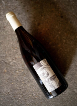 「AZUCCA E AZUCCO（アズッカ・エ・アズッコ）ウチのキャリコ『CIALICO』2024 」入荷