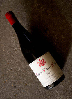 DOMAINE TAKAHIKO（ドメーヌ タカヒコ）NANA-TSU-MORI（ナナ-ツ-モリ）PASSETOUTGRAIN（パストゥルグラン）2024（2024 ヴィンテージ）【SOLD OUT】