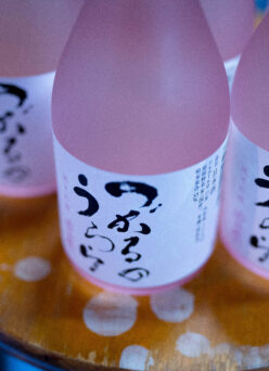 「つがるのうらら」を聴かせながら醸した春らしい品のある味わい「豊盃  HOUHAI  純米吟醸  ＜つがるのうらら  TSUGARUNO URARA＞」入荷