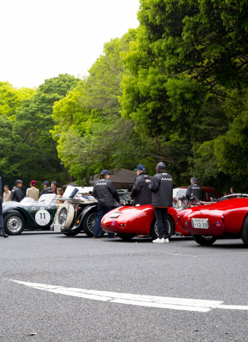 LA FESTA PRIMAVERA 2026