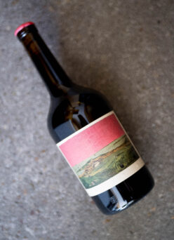 SAMI-ODI（サミ=オディ）HOFFMANN DALLWITZ（ホフマン・ダルヴィッツ）SYRAH（シラー）2022（2022 ヴィンテージ）