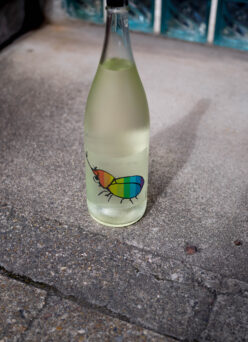 懐かしの夏を思い出す癒しな作品。「仙禽　SENKIN　＜かぶとむし  KABUTOMUSHI＞　2026　1.8Lサイズ」【飲食店様限定販売作品】