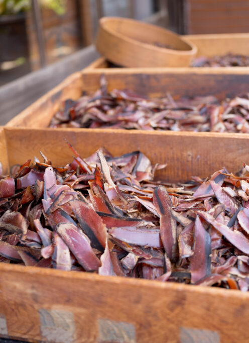 KATSUOBUSHI